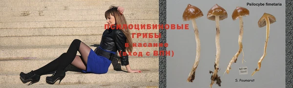 mix Новодвинск