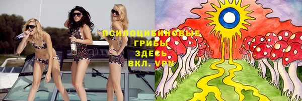 дурь Новокубанск